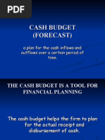 Cash Budget (Forecast)