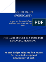 Cash Budget (Forecast)