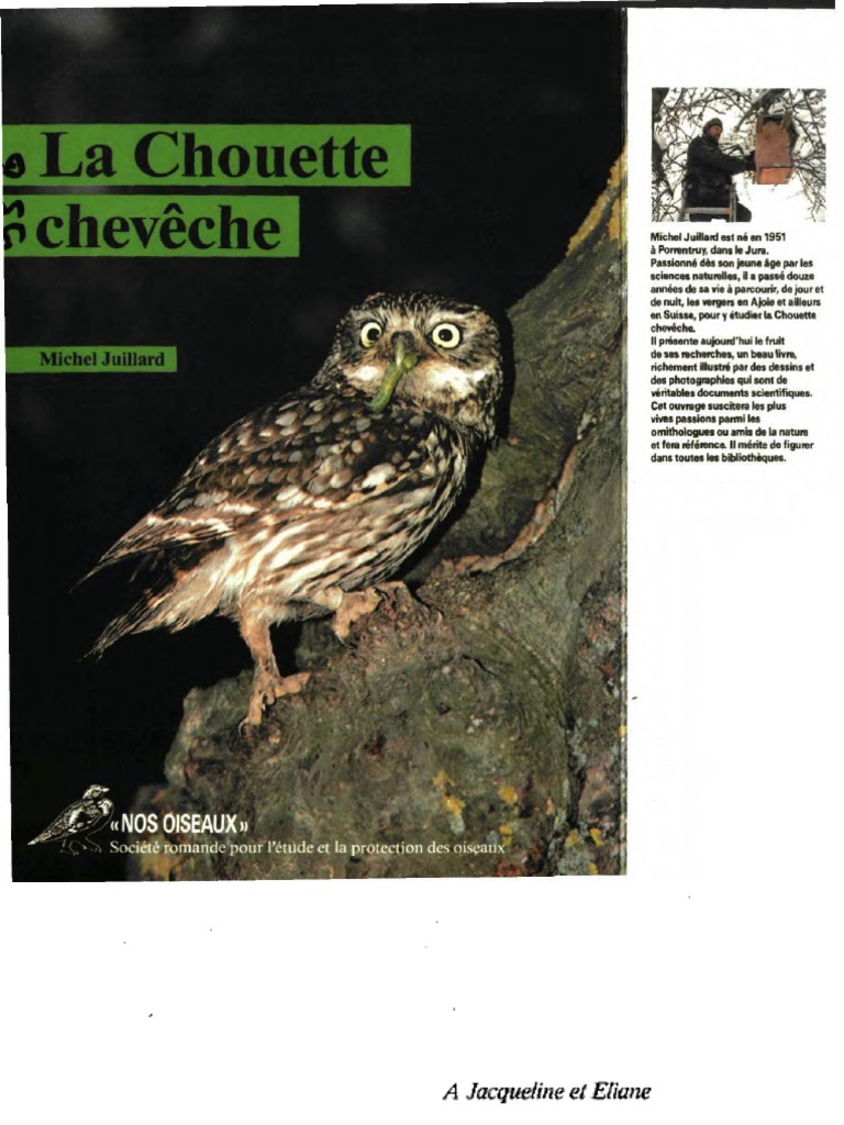 La Chouette Effraie – Ligue Royale Belge pour la Protection des Oiseaux