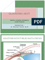 Referat Glaukoma Akut