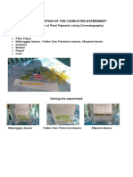 (Separation of Plant Pigments Using Chromatography) : Documentation of The Conducted Experiment