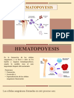 Hematopoyesis