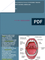 Curs 8 - Cavitatea Orala
