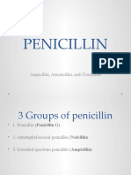 Penicillin: Ampicillin, Amoxicillin, and Cloxacillin