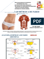 Anatomia QX Pared Abdominal 2017 DR Perez R2