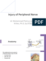 Injury of Peripheral Nerve 