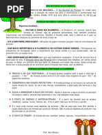 DIA MUNDIAL DA FLORESTA