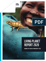 Livingplanetrerport 2020 Informe Completo