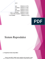 Sistem Reproduksi Dan Payudara Kel 01