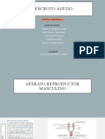 Síndrome de escroto agudo: causas, diagnóstico y tratamiento