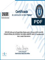 Hse Cuidado Integral Del Increyble y Del Medio Ambiente Básico (V2) - Certificado de Capacitación 11387