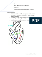 Fases Del Ciclo Cardiaco