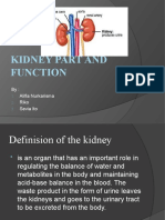 Kidney Part and Function: By: Alifia Nurkarisma Riko Sevia Ito