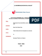 Organizador Visual PDF