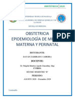 Epidemiologia Muerte Materna y Perinatal