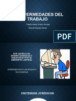 ENFERMEDADES DEL TRABAJO Ammy