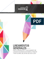 Lineamientos Generales