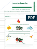 01 Incencios Forestales(Actividades)