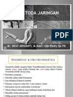 Helminthologi Verteriner II NEMATODA JARINGAN