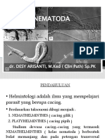 Helminthologi verteriner II NEMATODA, Nematoda usus