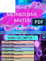 Metabolisme Bakteri