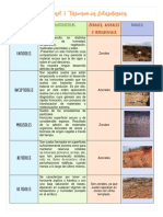 Act7 TaxonomíaEdafológica Equipo2