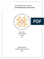 Laporan Praktikum Kimia Komputasi "Visualisasi Makromolekul Dengan VMD"