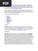 Download Avertebrata by Siti Muslikah SN51150336 doc pdf