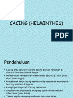 11, Cacing (Helminthes)