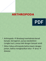 09. ARTHROPODA
