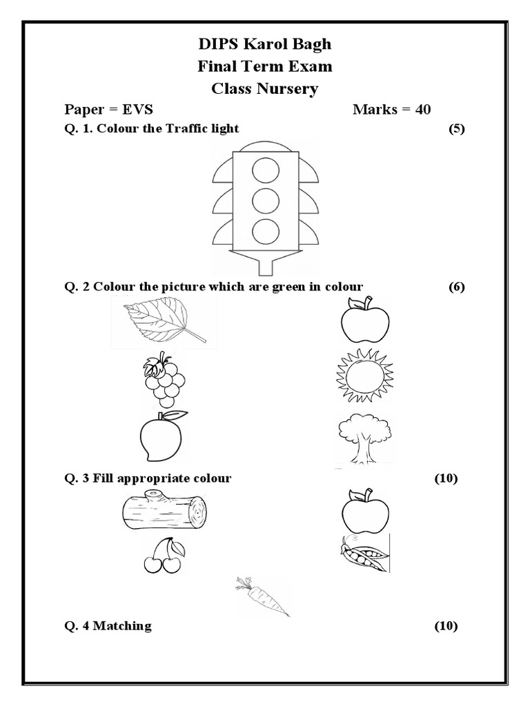 DIPS Karol Bagh Final Term Exam Class Nursery Paper EVS Marks 40 PDF