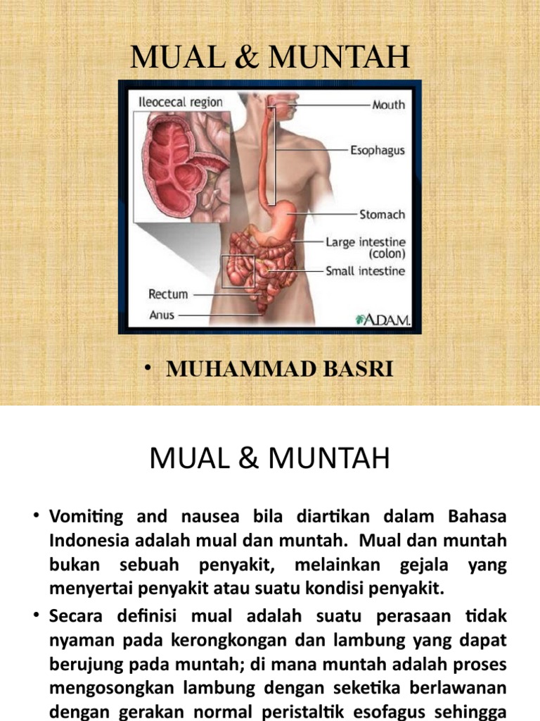 Jinsiy aloqa paytidagi ogriqning 5 asosiy turi