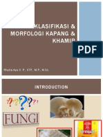 Klasifikasi & Morfologi Kapang & Khamir