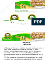 Vdocuments.mx Prezentare Franciza PDF