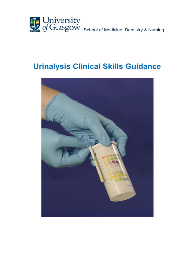 MSSU Urine Collection Guidelines | PDF | Urine | Kidney