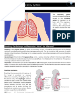 Human Respiratory System Year 10 GZ