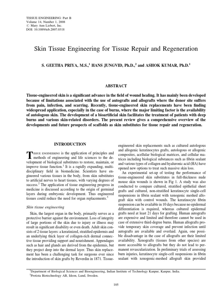 Advances in Skin Tissue Engineering | PDF | Tissue Engineering | Wound ...