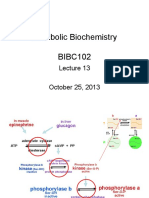 Metabolic Biochemistry BIBC102: October 25, 2013