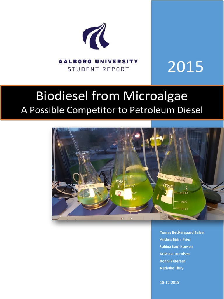 p1 Biodiesel From Microalgae A Possible Competitor To Petroleum Diesel ...