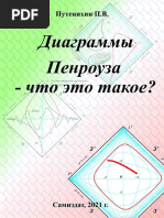 Penrose diagrams - what are they?