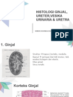 Histologi Ginjal, Ureter, VU, Uretra