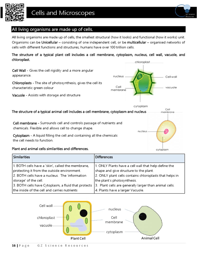 Cells Science Year 9 GZ | Download Free PDF | Cell (Biology) | Vacuole