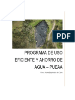 Programa de Uso Eficiente y Ahorro Del Agua Pueaa - Patio de Acopio