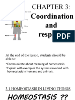 Chapter 3 Coordination and Response