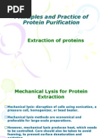 Download protein purification-S2 by Luthfiana Aprilianita Sari SN51153176 doc pdf