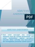 Adjuvan Anesteshia