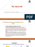 Evidence: My Ideal Self: Sebastian Gallego Correa