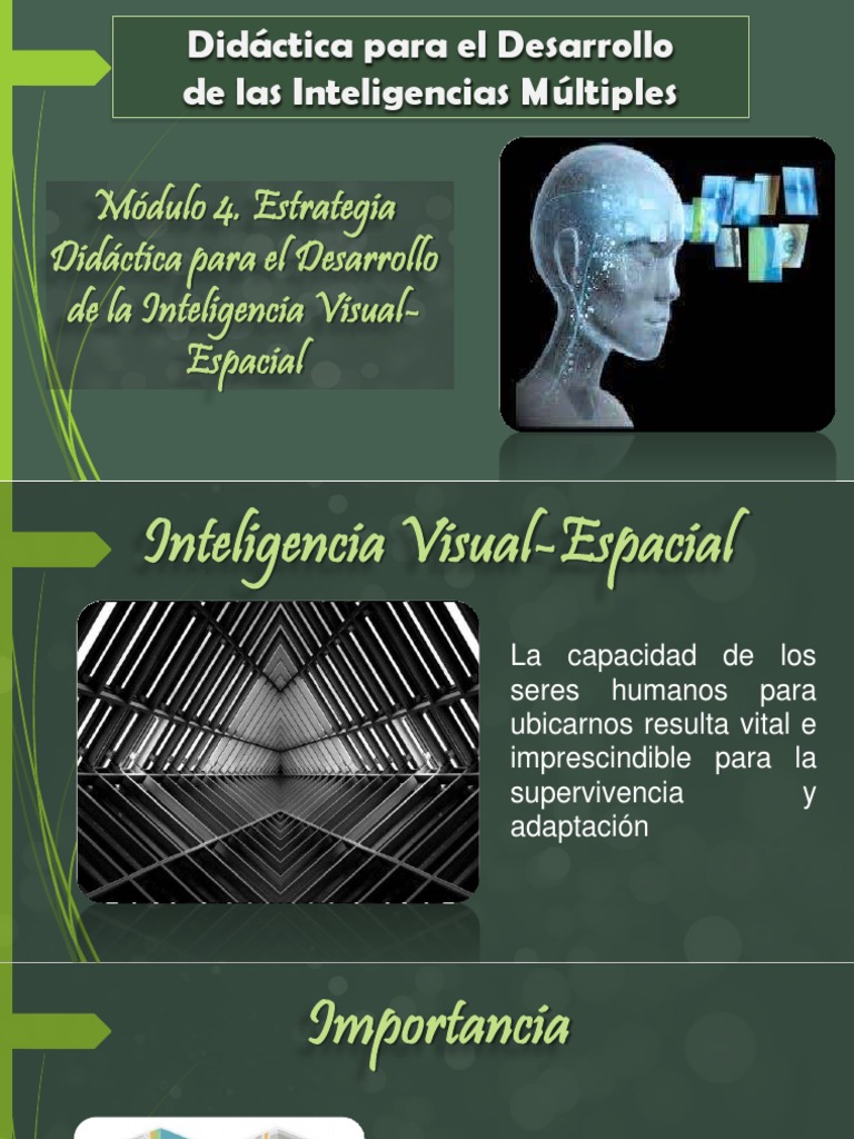 Módulo 4 Técnicas para El Desarrollo de La Inteligencia Visual ...