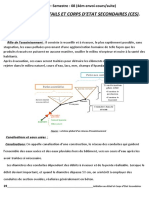 04 MI S.08 COURS Initiation Aux Détails Et CES Mai 2021