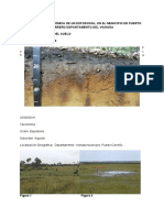 Primer Informe de Fisica de Suelos